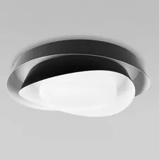 LOFT IT 10256 Black Потолочный светильник Petale