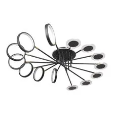 LOFT IT 10164L Black Потолочный светильник Megan