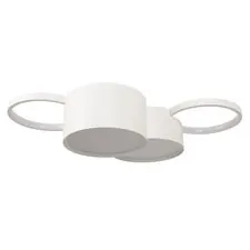 LOFT IT 10317/4 White Потолочный светильник Pin