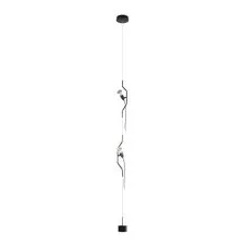 LOFT IT 10346/2 Black Подвесной светильник Parentesi
