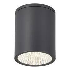 ST LUCE SL9514.712.01 Светильник уличный потолочный ST-Luce серый/белый LED 1*12W 3000K/4000K/6500K