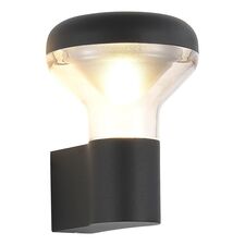 ST LUCE SL9541.701.01 Светильник настенный ST-Luce темно-серый/прозрачный LED 1*6W 3000K