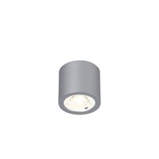 Favourite 2808-1C, потолочный светильник, D65xH60, 1xLEDx7W, 560LM, 4000K, included