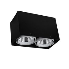 Favourite 1987-2U, потолочный светильник, L265xW140xH160, COB 2xLEDx12W, RA>80, BEAM ANGLE:24°, 1920LM, 4000K, included