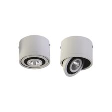 Favourite 1776-1C, потолочный светильник, D112xH85, 1xLEDx12W, AC:100-240V, 960LM, RA>80, IP21, 960LM, 4000K, included