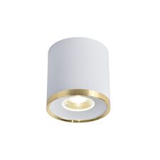 Favourite 3085-2C, потолочный светильник, D88xH91, LEDx10W, 850LM, 4000K, IP20, included