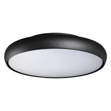 NOVOTECH 359289 STREET NT24 000 черный Светильник ландшафтный настенно-потолочный IP54 LED 32W 220-240V 4000K 4090Лм VIRTUO