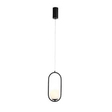 ST LUCE SL395.403.01 Подвес Черный/Белый LED 1*8W 4000K