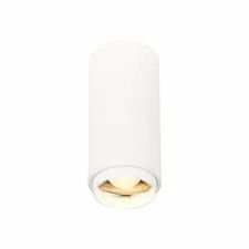 ST LUCE ST600.532.10 Светильник потолочный Zoom Белый LED 1*10W 3000K 1 000Lm Ra>80 15-60° IP20 D59xH130 170