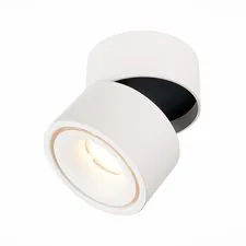 ST LUCE ST652.532.12 Светильник потолочный Белый LED 1*12W 3000K 1 000Lm Ra>90 36° IP20 D100xH105 170-240V