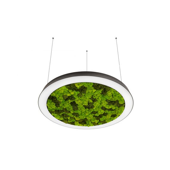 Donolux DL800S72WW Moss Black Подвесной светодиодный светильник, 72Ватт, D-800мм.