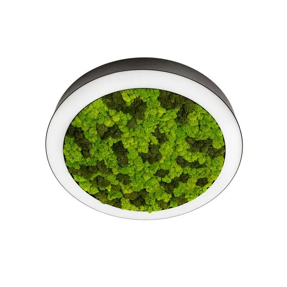 Donolux DL1000C90NW Moss Black Накладной светодиодный светильник, 90Ватт, D-1000мм., изображение 3