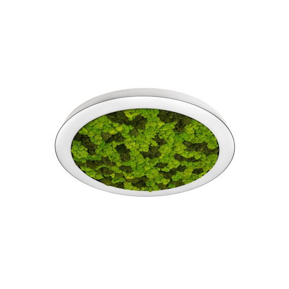 Donolux DL1000C90NW Moss White Накладной светодиодный светильник, 90Ватт, D-1000мм.
