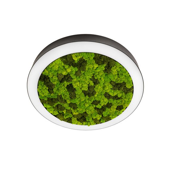 Donolux DL1000C90NW Moss Black Накладной светодиодный светильник, 90Ватт, D-1000мм., изображение 3