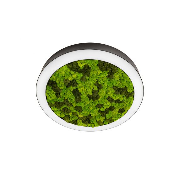 Donolux DL1000C90NW Moss Black Накладной светодиодный светильник, 90Ватт, D-1000мм.