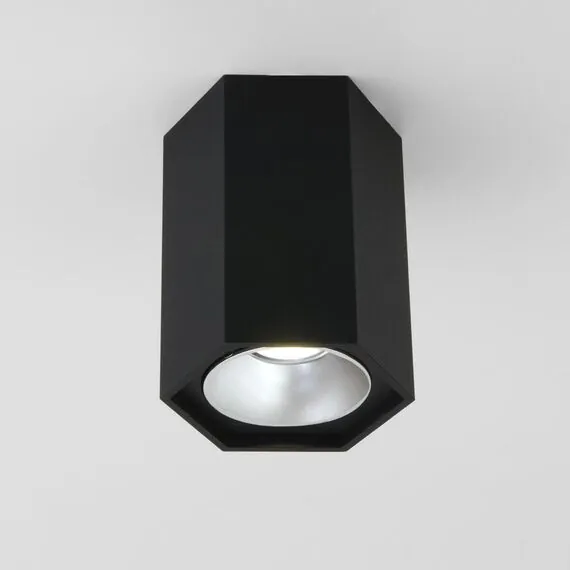 Elektrostandard a055857 25036/LED Светильник накладной черный матовый Серебро