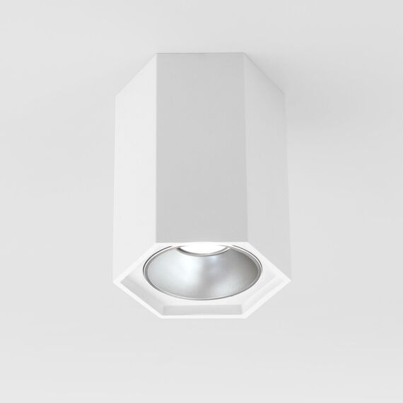 Elektrostandard a055856 25036/LED Светильник накладной белый матовый Серебро