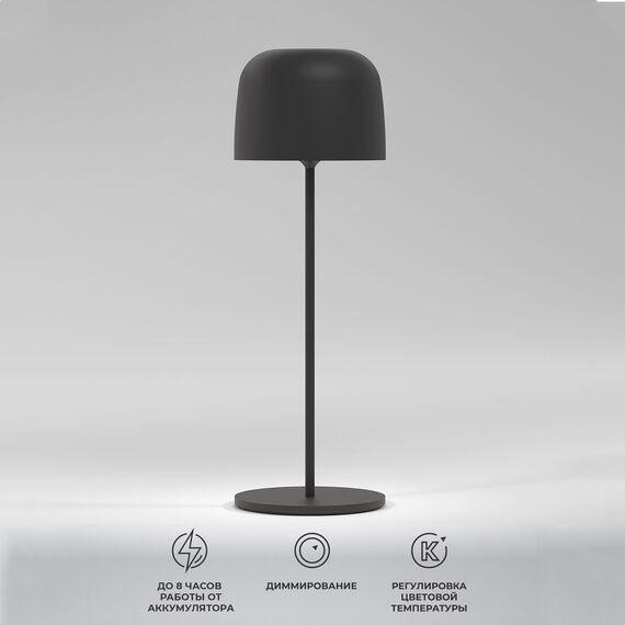 Elektrostandard a069002 TL70260 Светильник светодиодный настольный Bitty черный