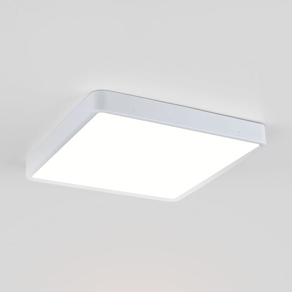 Elektrostandard a043018 DLS034 24W 4200K Светильник светодиодный стационарный белый