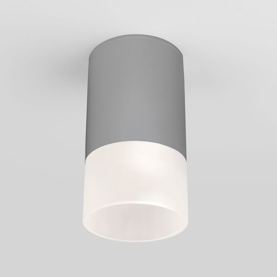 Elektrostandard a057158 35139/H Светильник садово-парковый со светодиодами Light LED 2106 серый