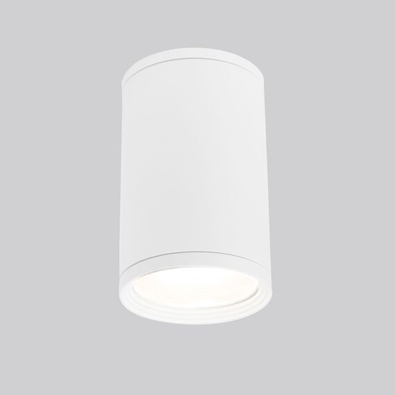 Elektrostandard a056333 35128/H Светильник садово-парковый Light 2101 белый