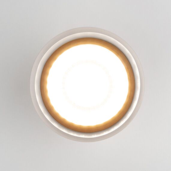 Elektrostandard a057159 35140/H Светильник садово-парковый со светодиодами Light LED 2107 черный, изображение 5