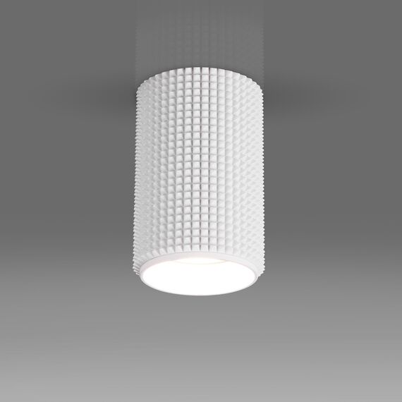 Elektrostandard a048144 DLN112 GU10 Светильник накладной белый