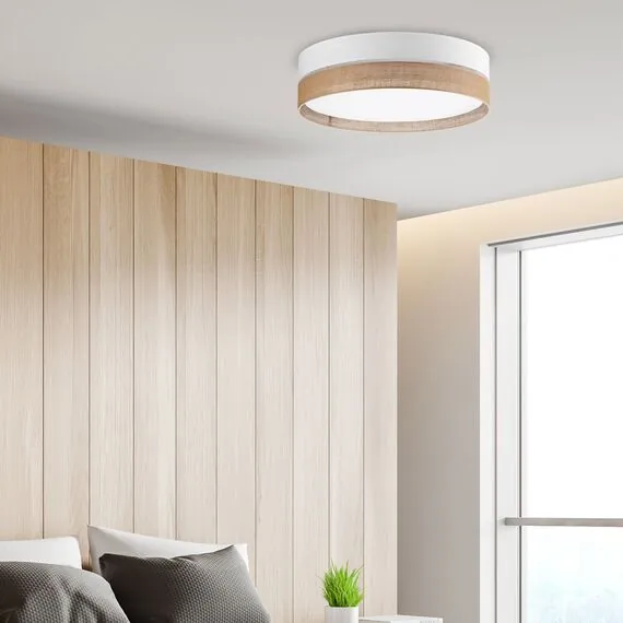 TK Lighting a065020 6578 Потолочный светильник Linobianco, изображение 3