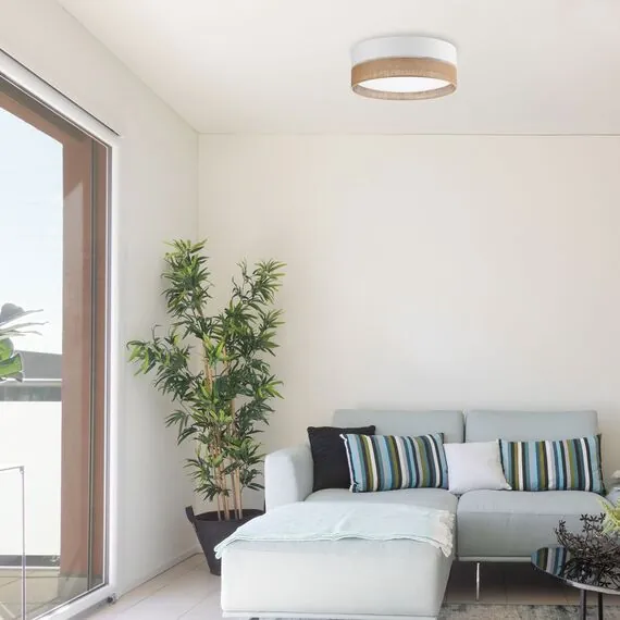 TK Lighting a065019 6577 Потолочный светильник Linobianco, изображение 3