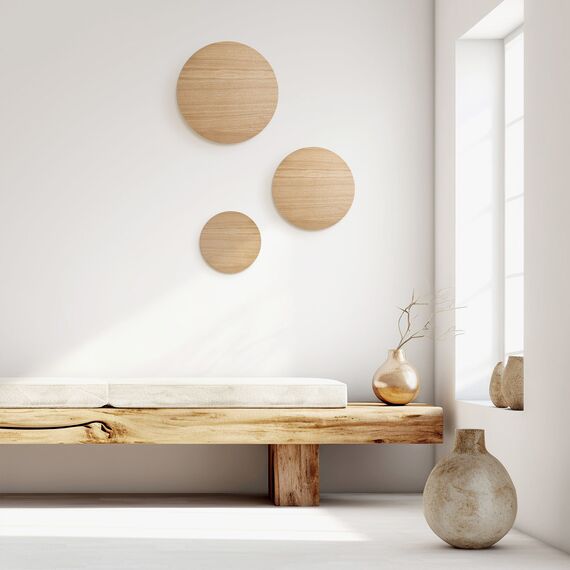 TK Lighting a068651 10098 Настенный светильник Luna, изображение 4