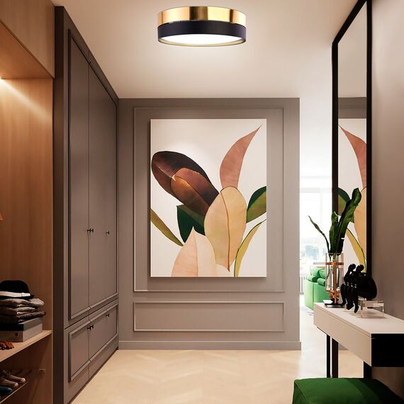 TK Lighting a048907 4345 Потолочный светильник Hilton, изображение 2