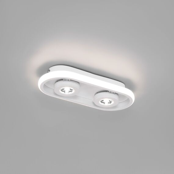 Eurosvet a055527 20123/2 LED Потолочный светильник белый, изображение 2