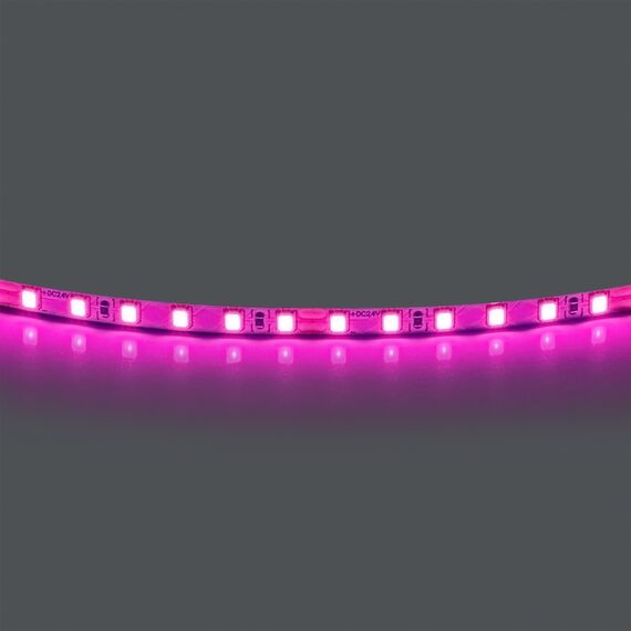 Lightstar 420512 Лента LIGHTSTAR LED 24V 12W 120leds/M 1600 LM/M pink IP20 1шт = 5м