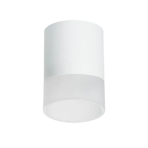 Lightstar R348681 Светильник RULLO GX53 (213486+202481)
