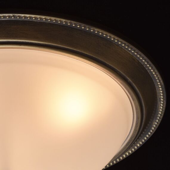 MW-Light 450015503 Потолочный светильник, изображение 5