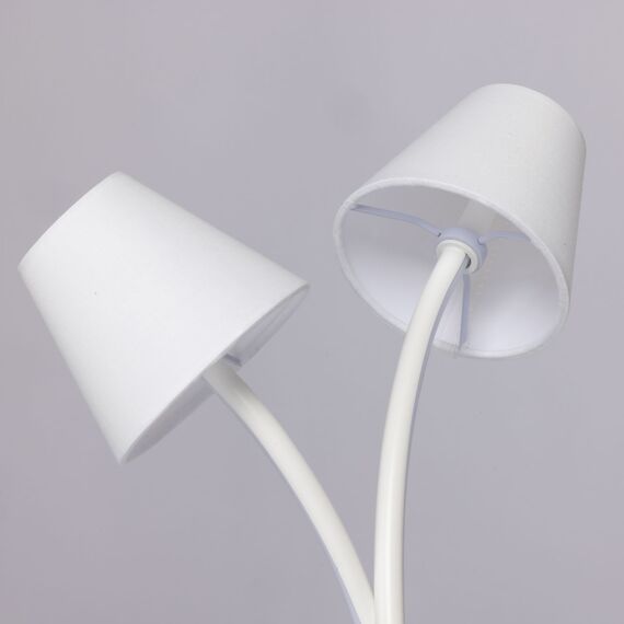 MW-Light 480032702 Лампа настольная, изображение 3