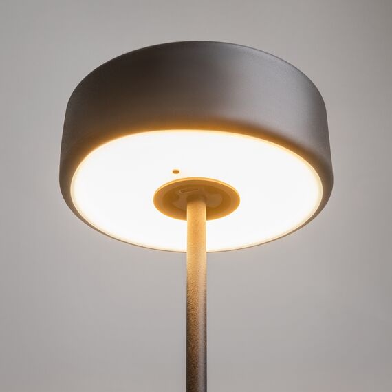 Maytoni Decorative MOD229TL-L3B3K2 Настольная лампа светодиодная диммируемая AI Collaboration, изображение 4