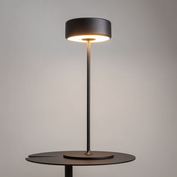 Maytoni Decorative MOD229TL-L3B3K2 Настольная лампа светодиодная диммируемая AI Collaboration, изображение 2