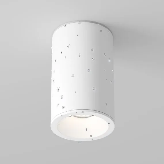 Maytoni Technical C029CL-01-S-W Светильник точечный потолочный Zoom, изображение 3
