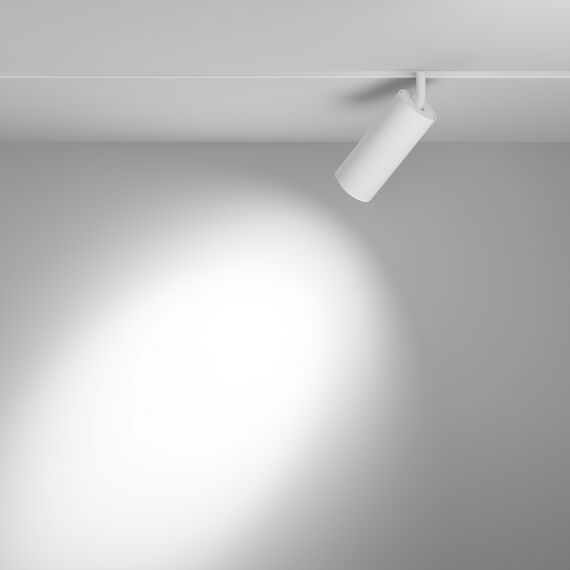Maytoni Technical TR032-4-20WTW-S-DD-W Трековый светильник Focus Led Exility 2700-6000K 20Вт 36° Dim Dali1, изображение 4