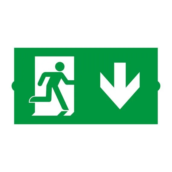 Arlight 046670 Пиктограмма EMGP-DIRECT-DOWN (Вниз) (Arlight, Пластик) 046670