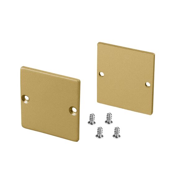 Arlight 039983 Заглушка SL-LINE-3638-LW GOLD глухая (Arlight, Металл) 039983