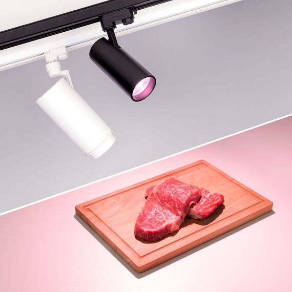 Arlight 032456 Светильник LGD-ZEUS-4TR-R100-30W Warm SP2900-Meat (BK, 20-60 deg, 230V) (Arlight, IP20 Металл, 3 года) 032456, изображение 5