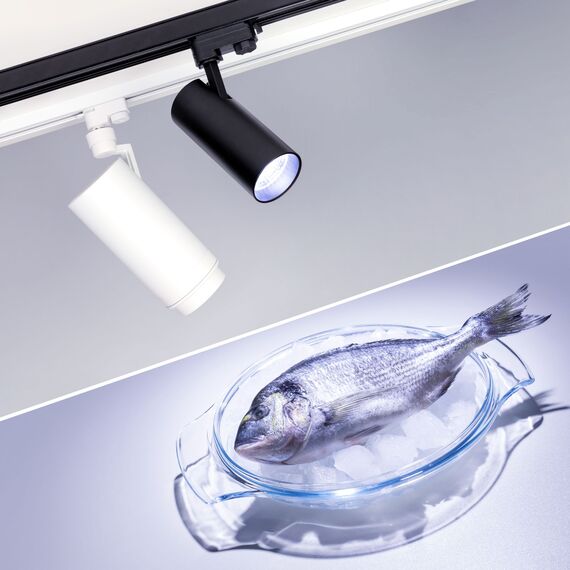 Arlight 029998 Светильник LGD-ZEUS-4TR-R100-30W Cool SP7500-Fish (WH, 20-60 deg, 230V) (Arlight, IP20 Металл, 3 года) 029998, изображение 3