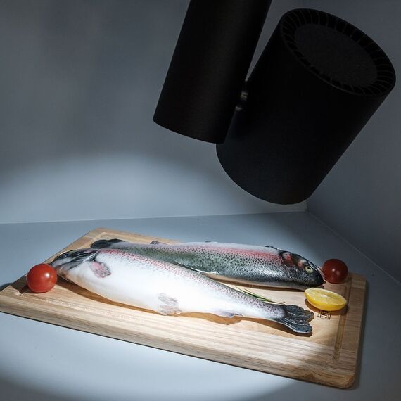 Arlight 026291 Светильник LGD-SHOP-4TR-R100-40W Cool SP7500-Fish (BK, 24 deg) (Arlight, IP20 Металл, 3 года) 026291, изображение 8