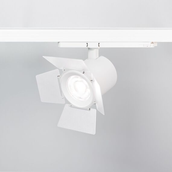 Arlight 036006 Бленда с посадочным кольцом LGD-NIKA-BDR-R100 (WH) (Arlight, Металл) 036006, изображение 4