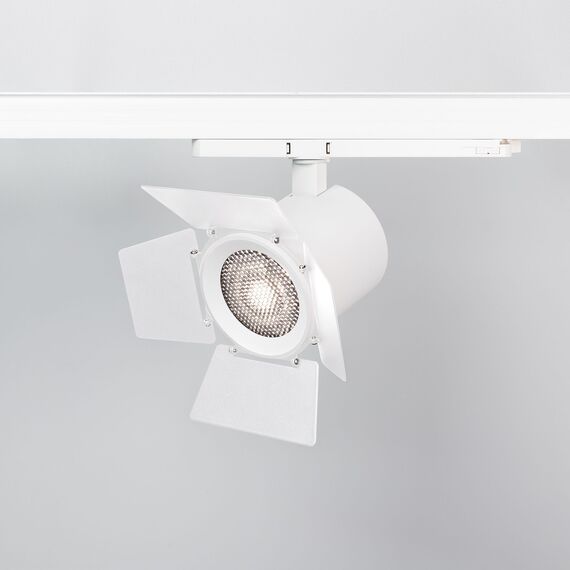 Arlight 036007 Бленда с сетчатым фильтром и посадочным кольцом LGD-NIKA-BDH-R100 (WH-BK) (Arlight, Металл) 036007, изображение 4
