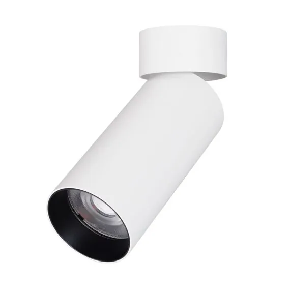 Arlight 049921 Светильник SP-GABI-SURFACE-FLAP-R60-12W Day4000 (WH, 36 deg, 230V) (Arlight, IP40 Металл, 5 лет) 049921