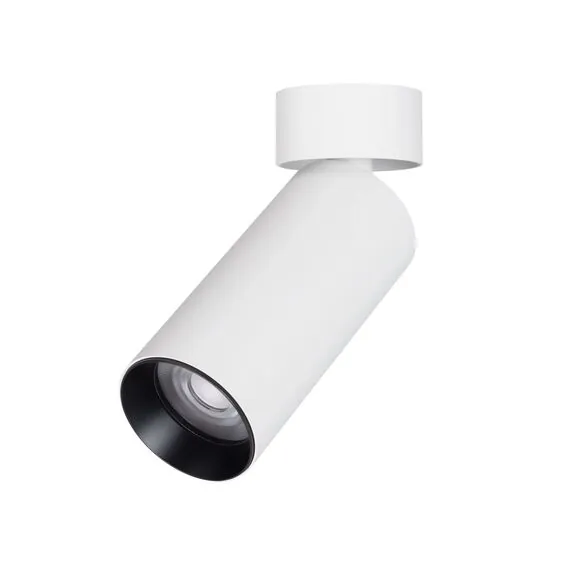 Arlight 049925 Светильник SP-GABI-SURFACE-FLAP-R50-9W Warm3000 (WH, 36 deg, 230V) (Arlight, IP40 Металл, 5 лет) 049925, изображение 2