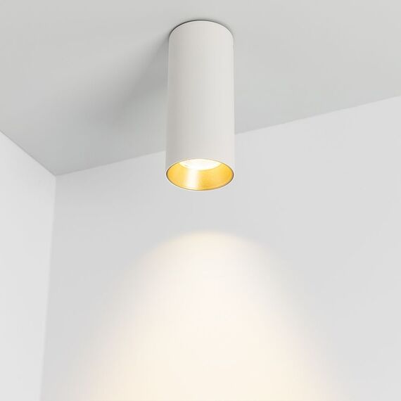 Arlight 027505 Светильник SP-POLO-SURFACE-R65-8W Day4000 (WH-GD, 40 deg) (Arlight, IP20 Металл, 5 лет) 027505, изображение 4